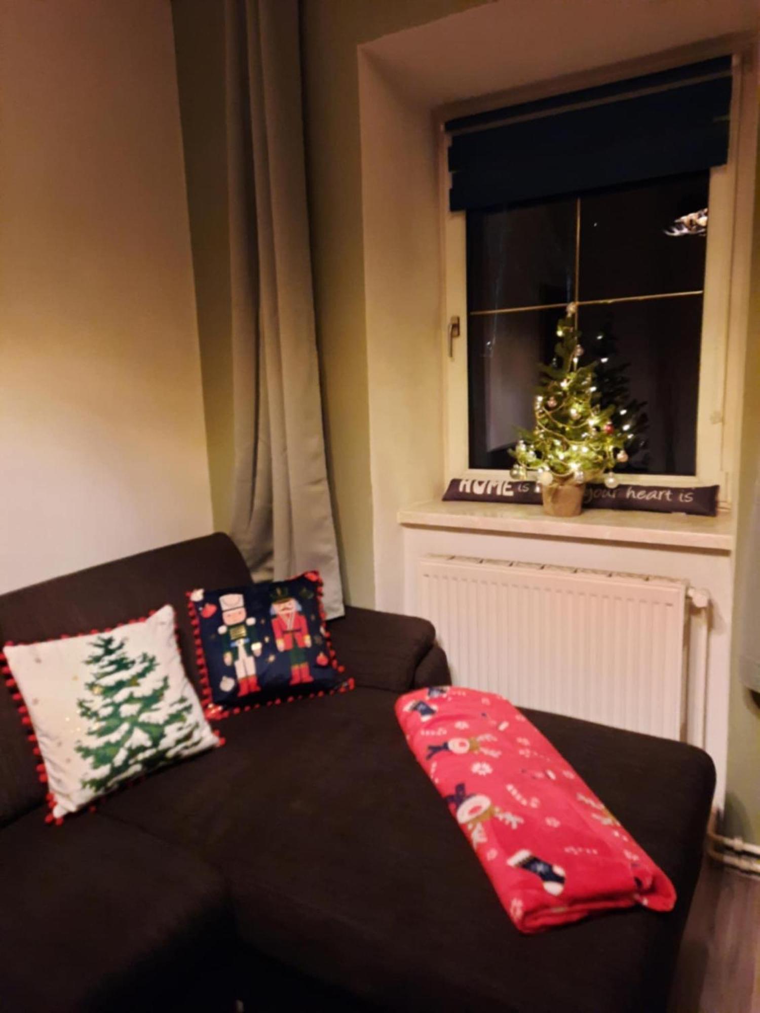 Ausseerland Apartments - Relax, Ski, Hike And Bike, Garden, Parking, Bbq, Near Hallstatt, Loser, Tauplitz And Krippenstein, Free Wi-Fi And Netflix Bad Aussee Rom bilde