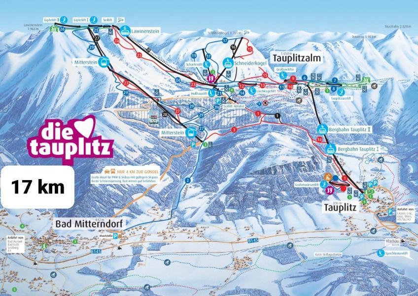 Ausseerland Apartments - Relax, Ski, Hike And Bike, Garden, Parking, Bbq, Near Hallstatt, Loser, Tauplitz And Krippenstein, Free Wi-Fi And Netflix Bad Aussee Eksteriør bilde