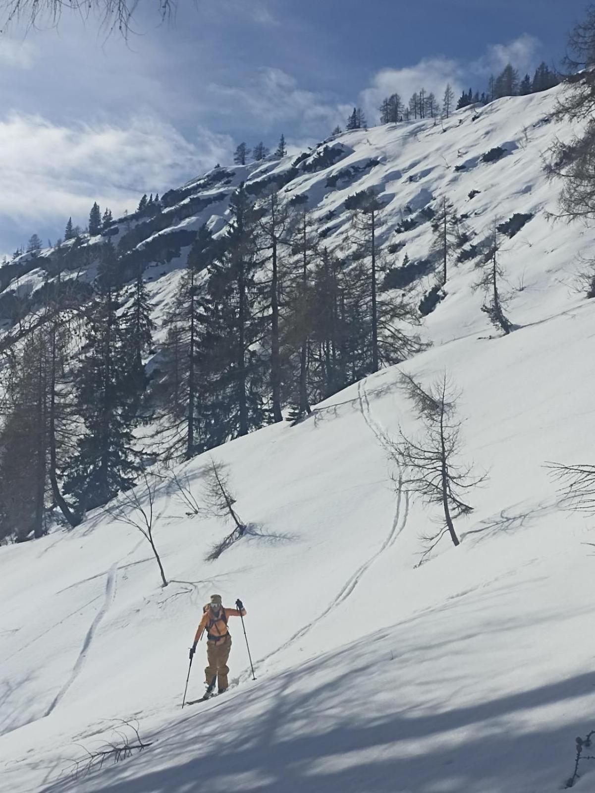 Ausseerland Apartments - Relax, Ski, Hike And Bike, Garden, Parking, Bbq, Near Hallstatt, Loser, Tauplitz And Krippenstein, Free Wi-Fi And Netflix Bad Aussee Eksteriør bilde