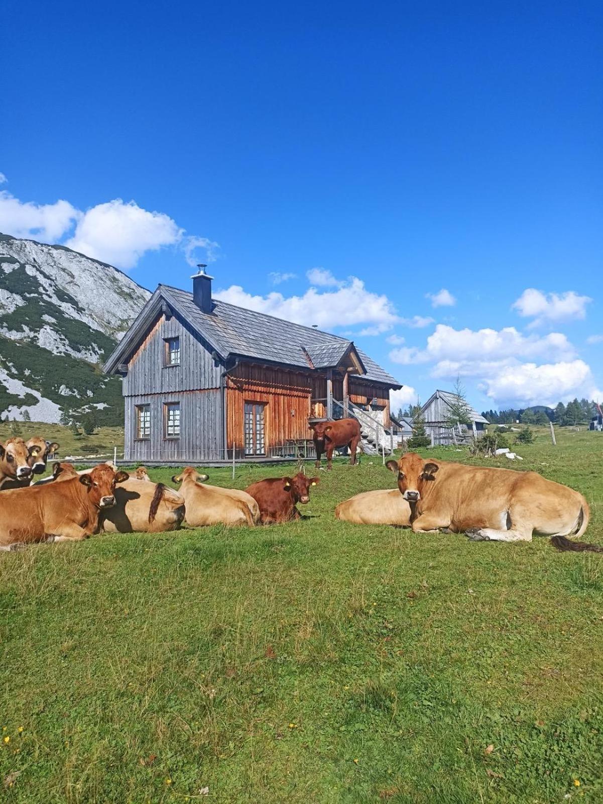 Ausseerland Apartments - Relax, Ski, Hike And Bike, Garden, Parking, Bbq, Near Hallstatt, Loser, Tauplitz And Krippenstein, Free Wi-Fi And Netflix Bad Aussee Eksteriør bilde